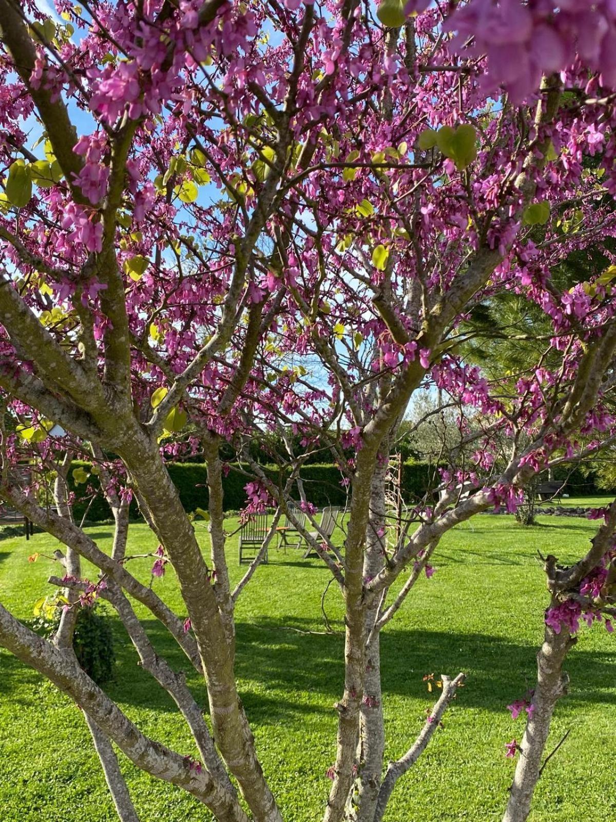 Gite Et Studios Les Barongeres Farges-les-Chalon Exteriör bild
