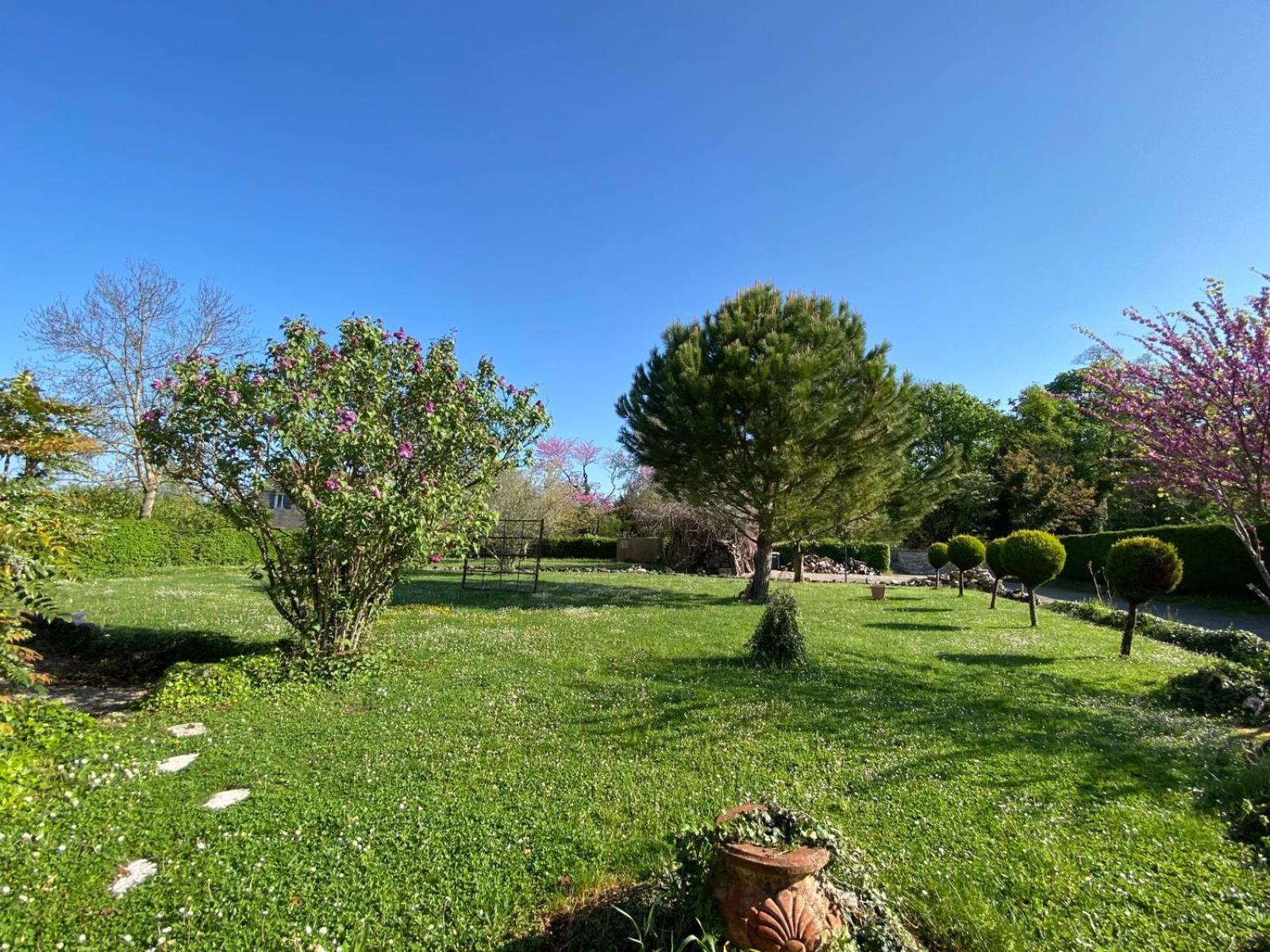 Gite Et Studios Les Barongeres Farges-les-Chalon Exteriör bild