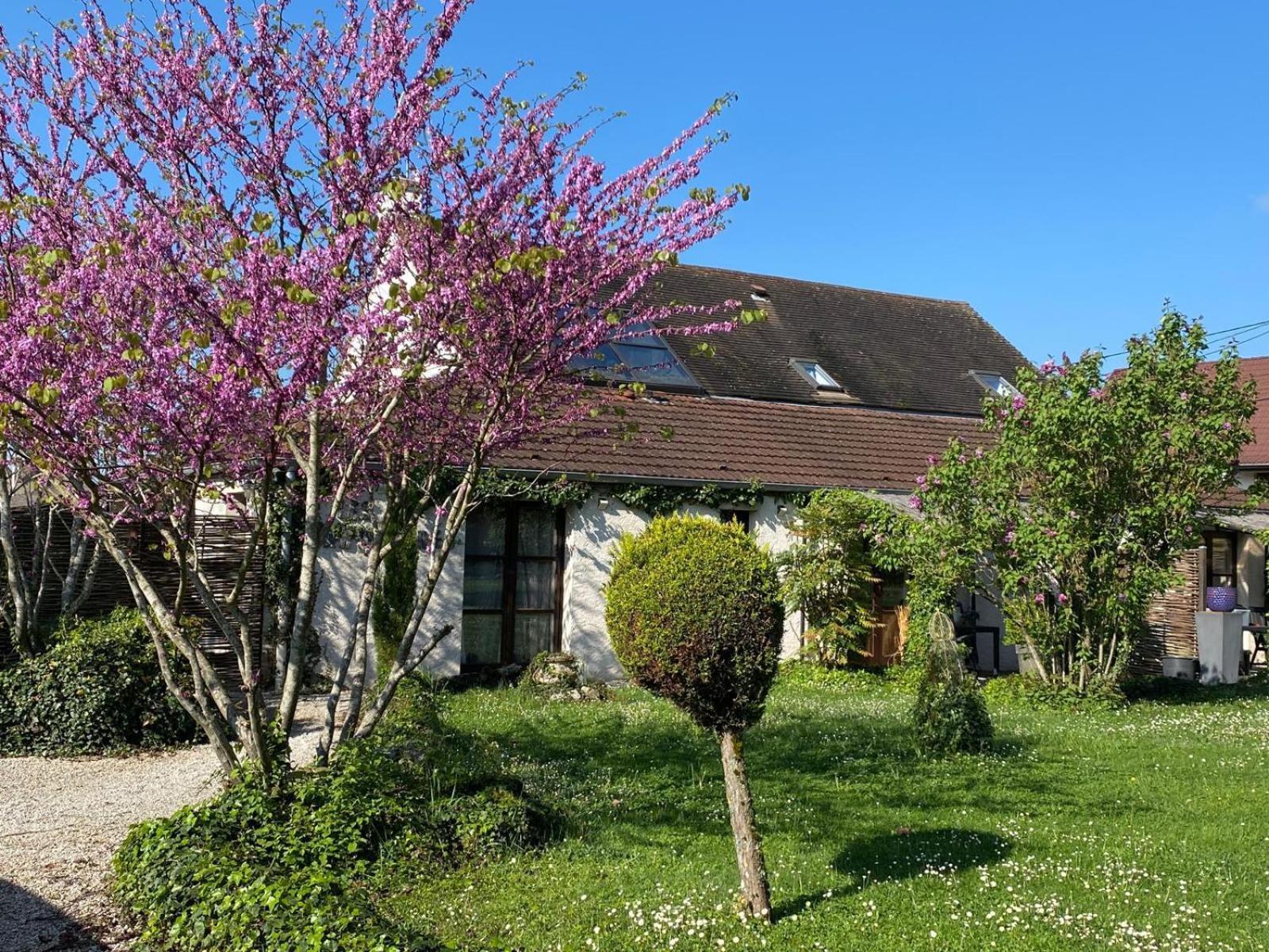 Gite Et Studios Les Barongeres Farges-les-Chalon Exteriör bild